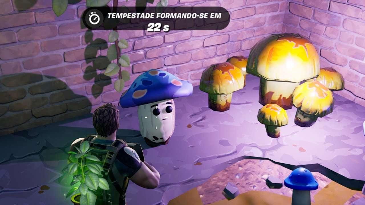 ELE VOLTOU! AMIGO COGUMELO com CURA INFINITA