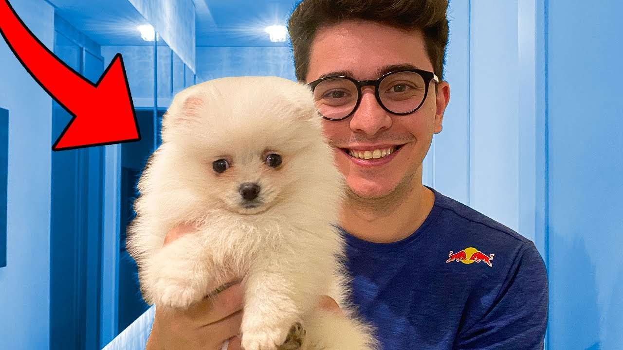 MEU NOVO CACHORRINHO!!